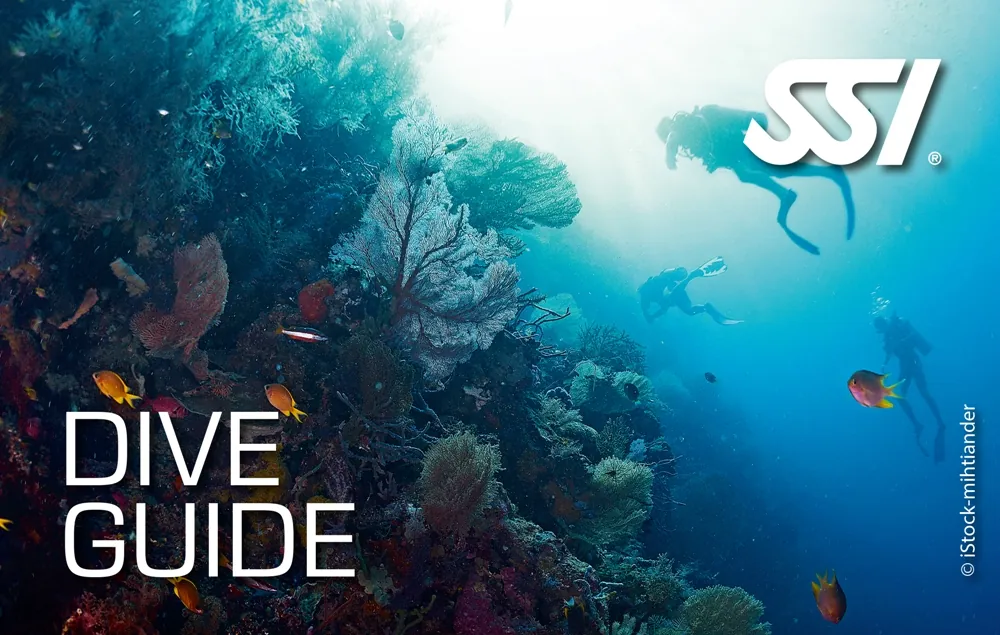 Curs Dive Guide SSI, primul pas profesional, Deep Zone Diving