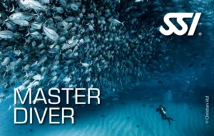 Scafandru SSI Master Diver înotând sub un banc de pești, cel mai înalt nivel de certificare recreațională la Deep Zone Diving Iași