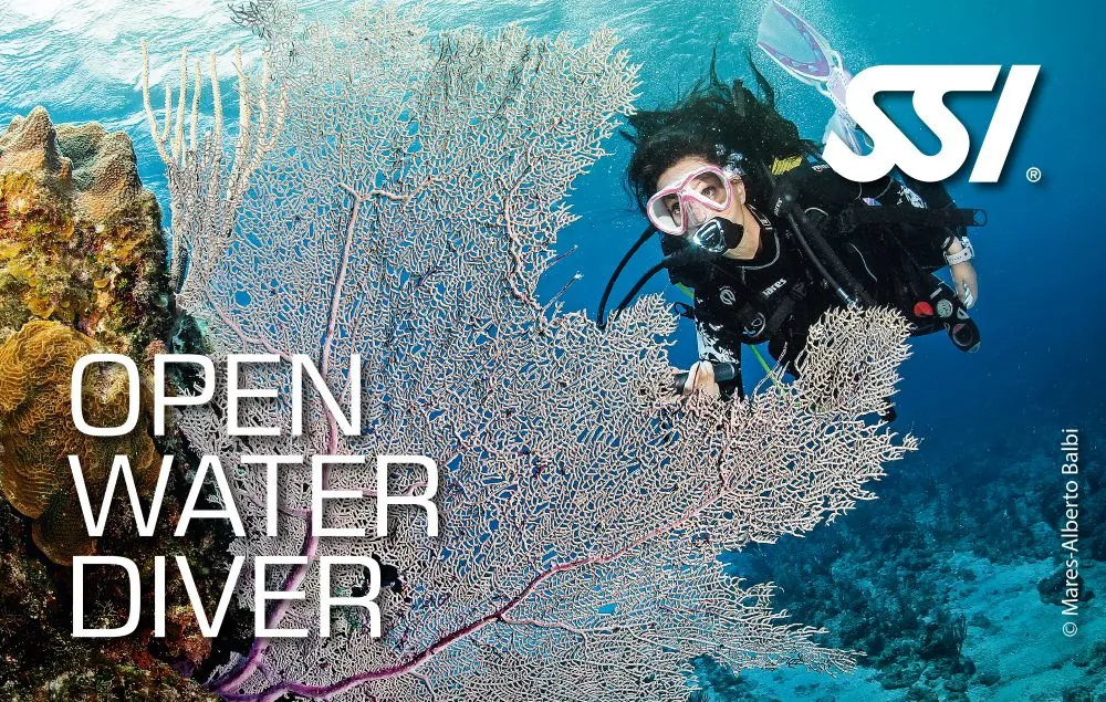 Cursant la curs Open Water Diver SSI, Deep Zone Diving Iași