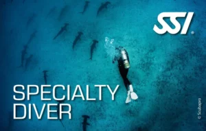 Scafandru SSI participând la curs de Specialitate în scufundări, înotând printre rechini-ciocan, program de training avansat disponibil la centrul de scufundări Deep Zone Diving Iași