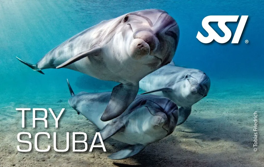 Curs Try Scuba pentru începători, prima scufundare cu Deep Zone Diving