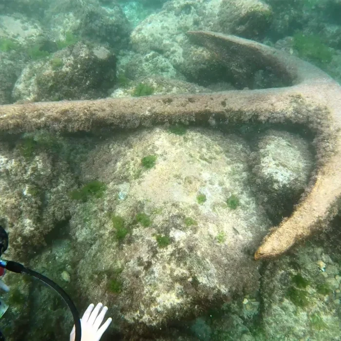 Scafandru exploreaza o ancora marina antica acoperita de corali, pe fundul marii, in timpul unei scufundari cu Deep Zone Diving.