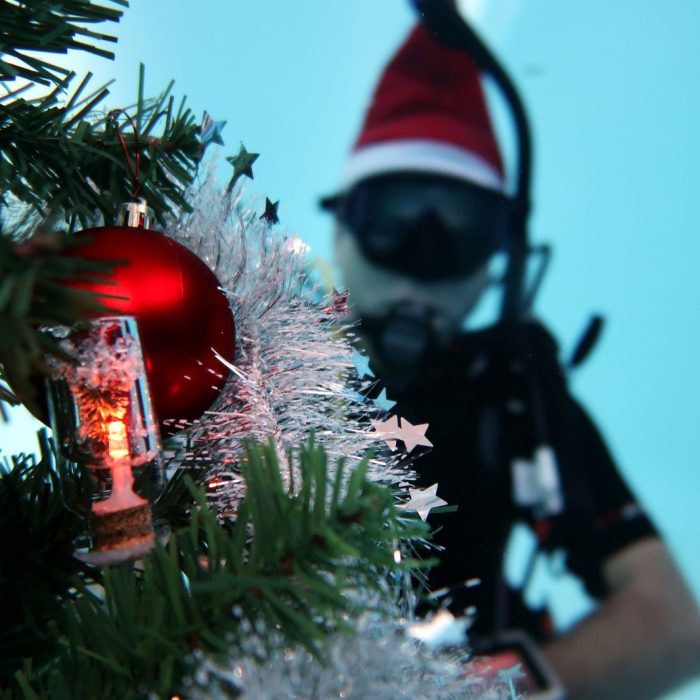 Prim-plan cu brad de Craciun impodobit sub apa, cu un scafandru in fundal purtand caciula festiva, in cadrul evenimentului Deep Zone Diving.
