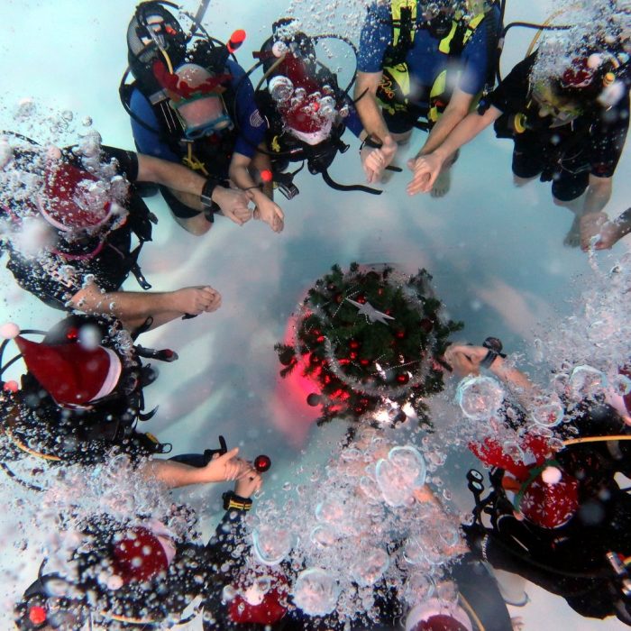 Grup de scafandri tinandu-se de maini in jurul unui brad de Craciun iluminat, la un eveniment organizat de Deep Zone Diving.